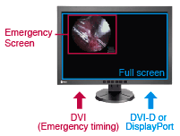Monitor - LX300W - Fail-Safe Function