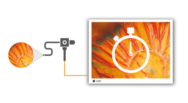 Accessory - TIP - all - Zero Latency