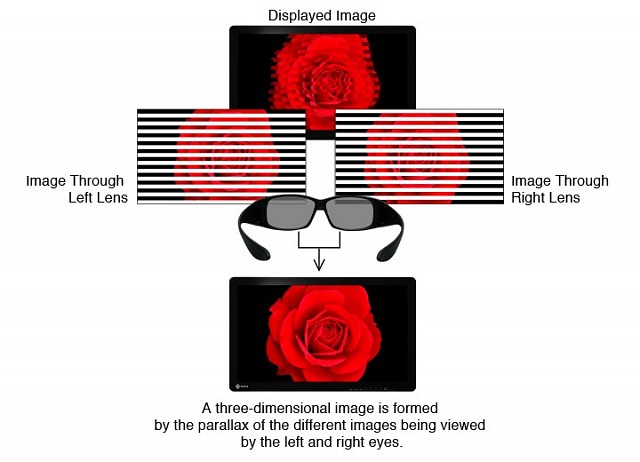 Monitor - Endo 3D - Bright and Flicker-Free 26"