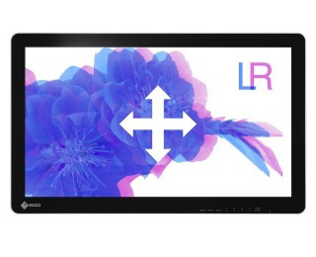 Monitor - Endo 3D - Parallax