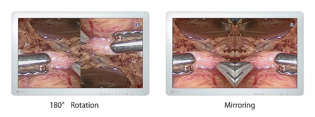 Monitor - Endo 2D - Rotate Independent 26" 27"