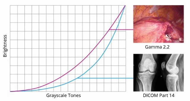 Monitor - SCD 19102 - Factory Adjustment