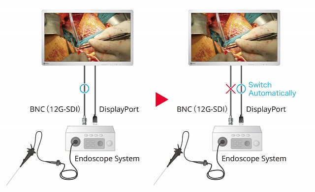 Monitor - Endo 4K - Fail-Safe Display EX3242