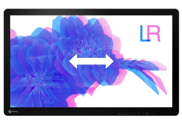 Monitor - Endo EXxx42-3D - Parallax