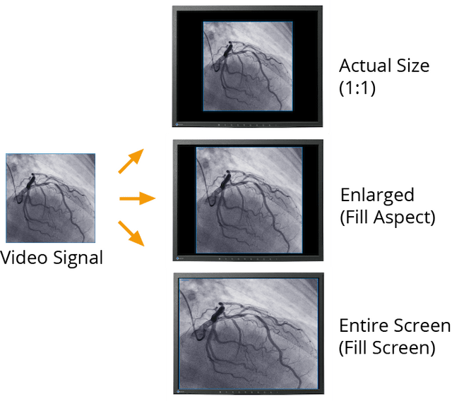 Monitor - LX2420-T - Different Resolutions