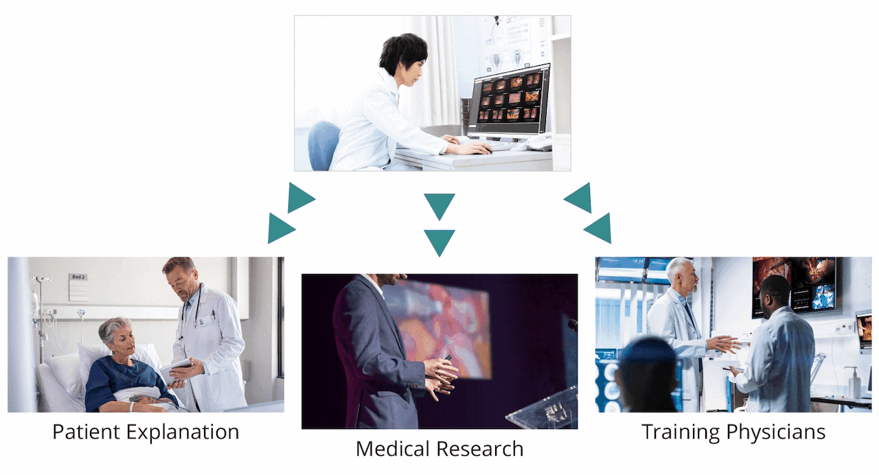 MIR Browser - Solution